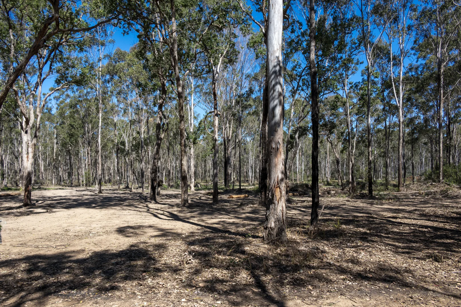 Additional image 3 of 151 Cameron Road, Taromeo QLD 4314