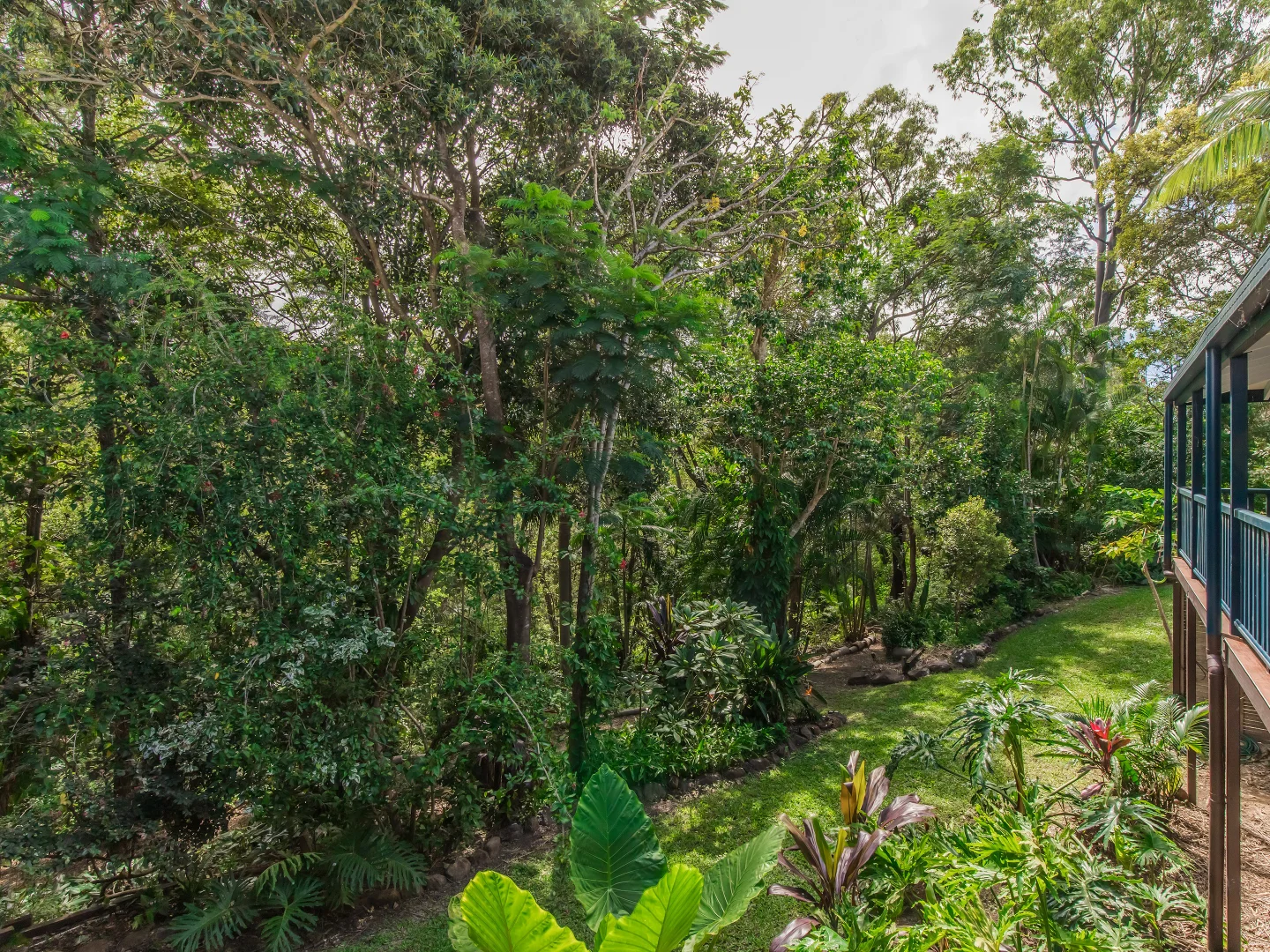 Additional image 29 of 58 Bridgman Drive, Reedy Creek QLD 4227