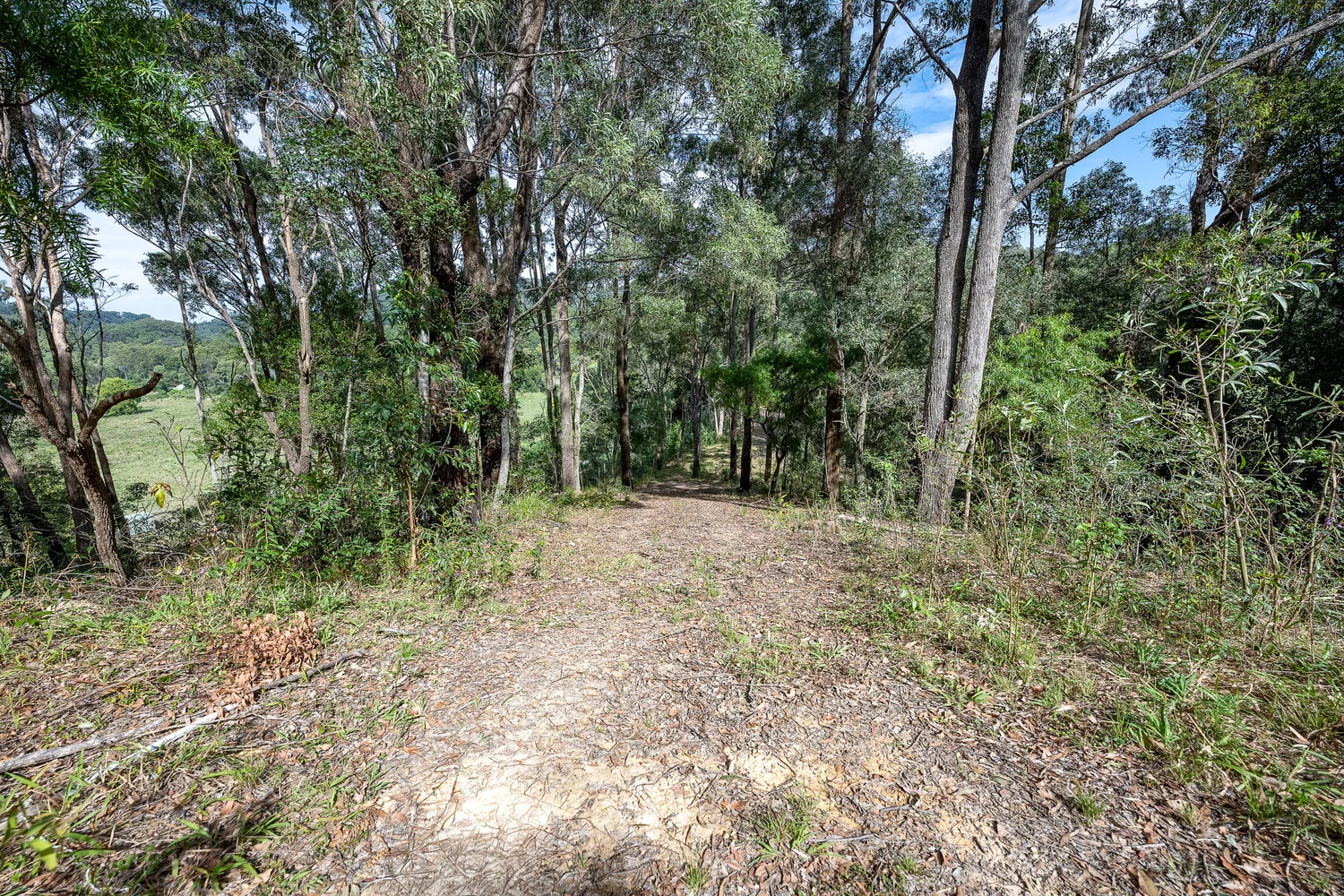 Additional image 19 of 38 Wooyung Road, Wooyung NSW 2483
