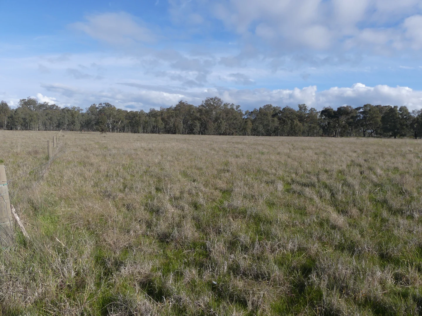 Additional image 6 of Walshs Bridge South Road, Waaia VIC 3637