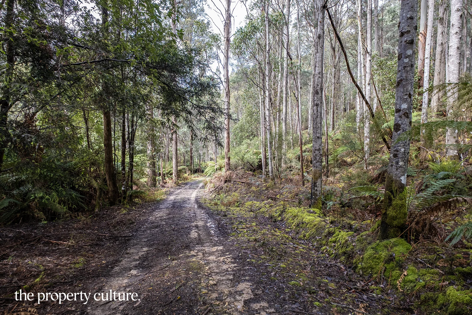 Additional image 14 of 1, 2 & 3 Bakers Creek Rd, Lucaston TAS 7109