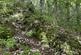 Additional image 14 of Waungilwen, Drefach-Velindre SA44