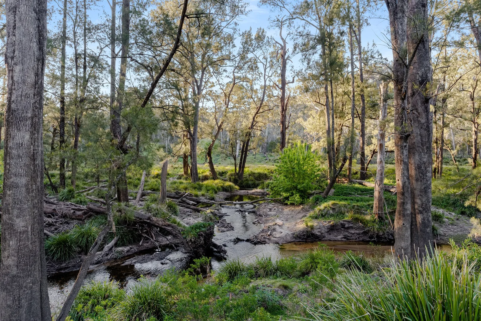 Additional image 37 of Belanglo NSW 2577