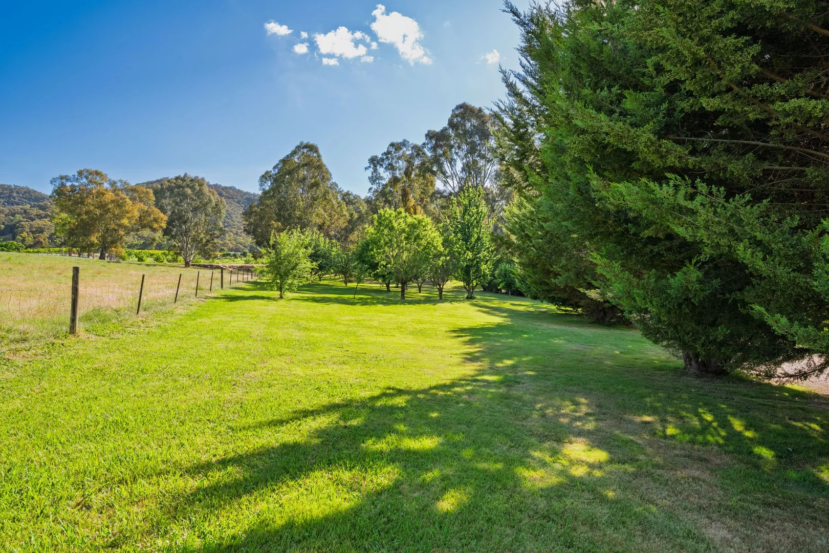 Additional image 39 of 411 Buffalo Creek Road, Myrtleford VIC 3737