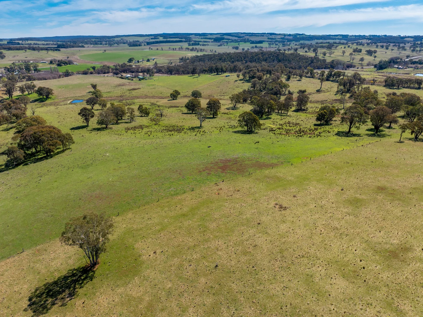 Additional image 29 of 5353 Trunkey Road, Trunkey Creek NSW 2795