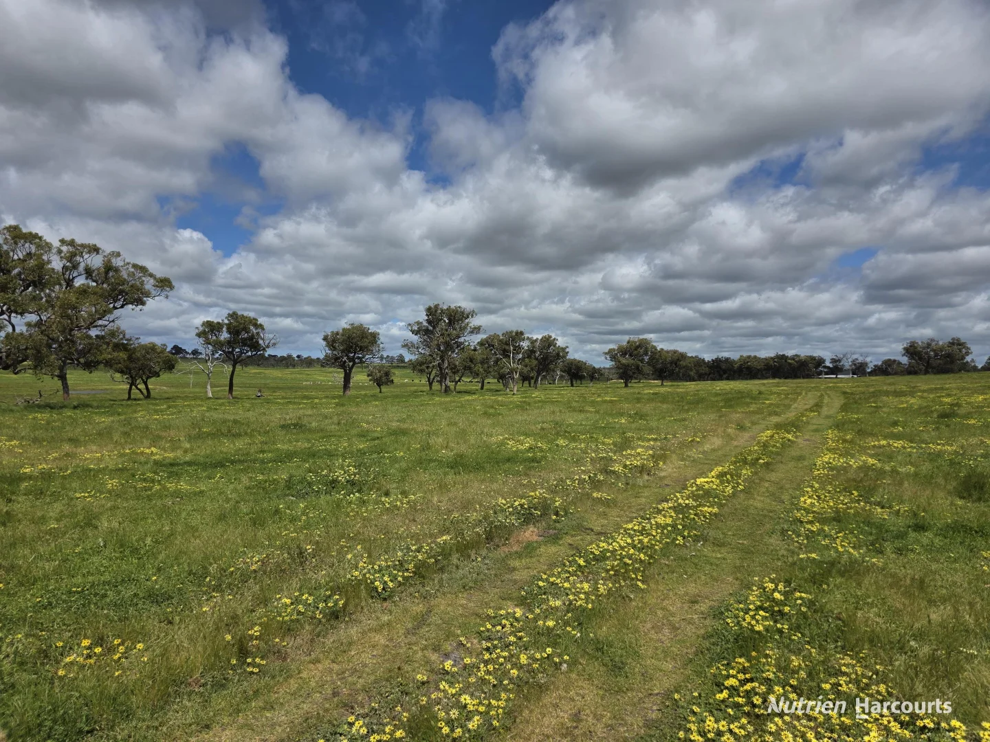 Additional image 8 of 1867 Chester Pass Road, Napier WA 6330
