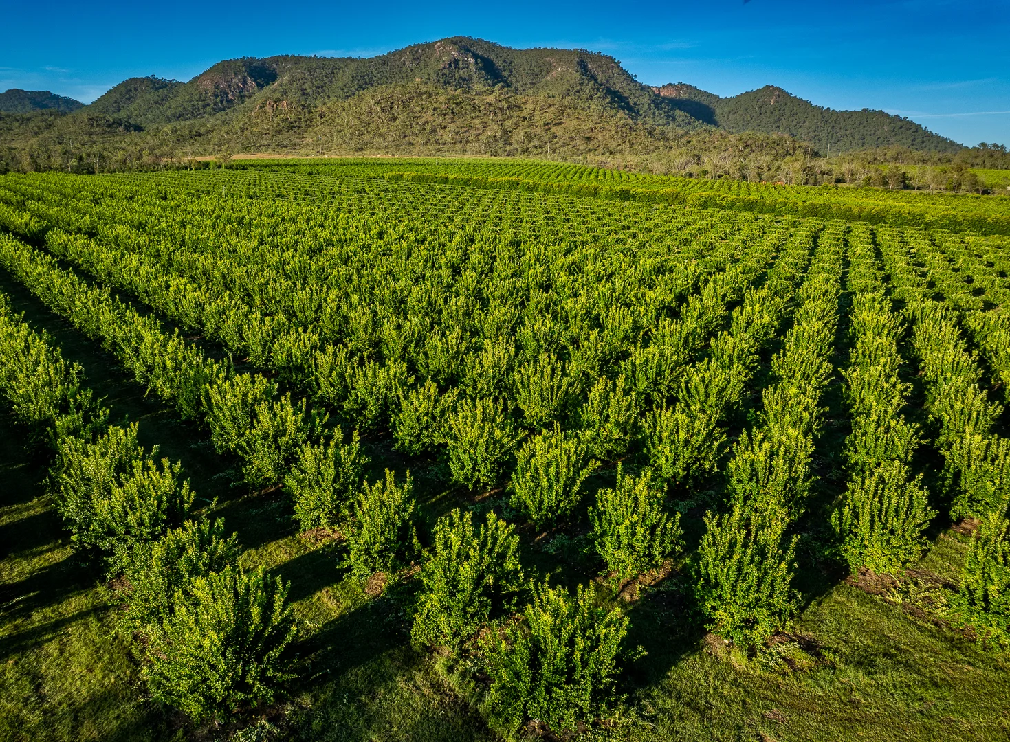 Additional image 10 of Dimbulah QLD 4872