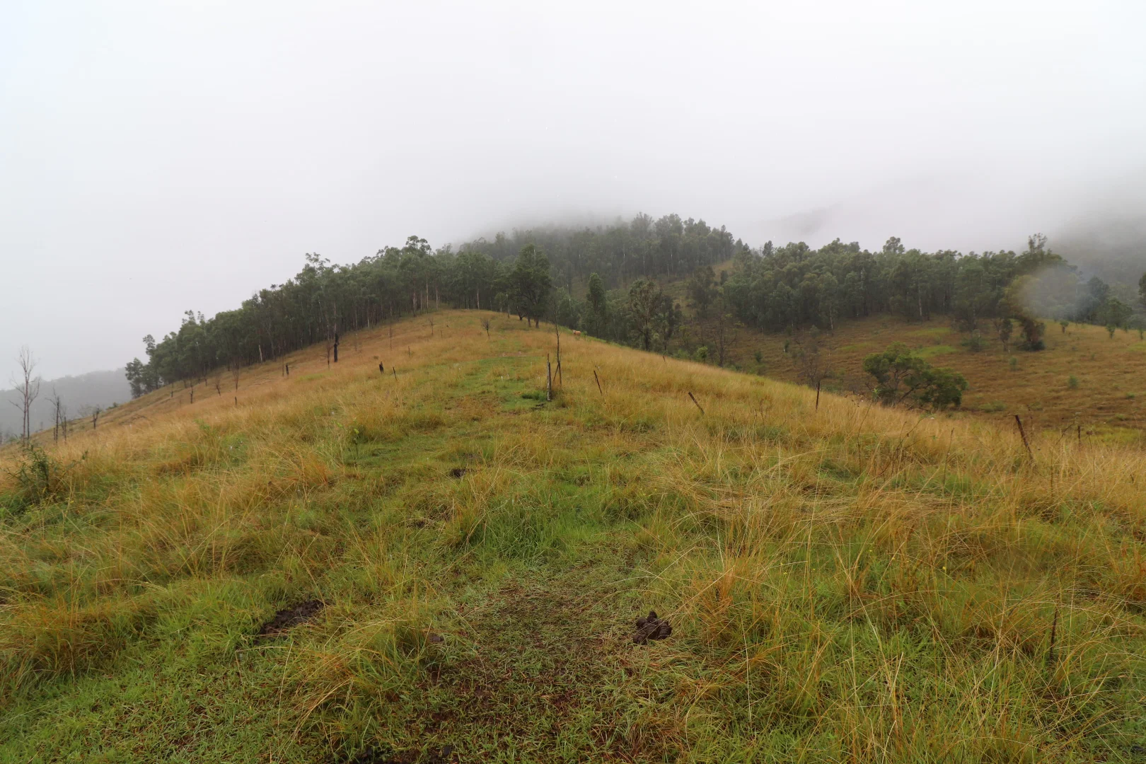 Additional image 23 of 8282 Armidale Road, Lower Creek NSW 2440