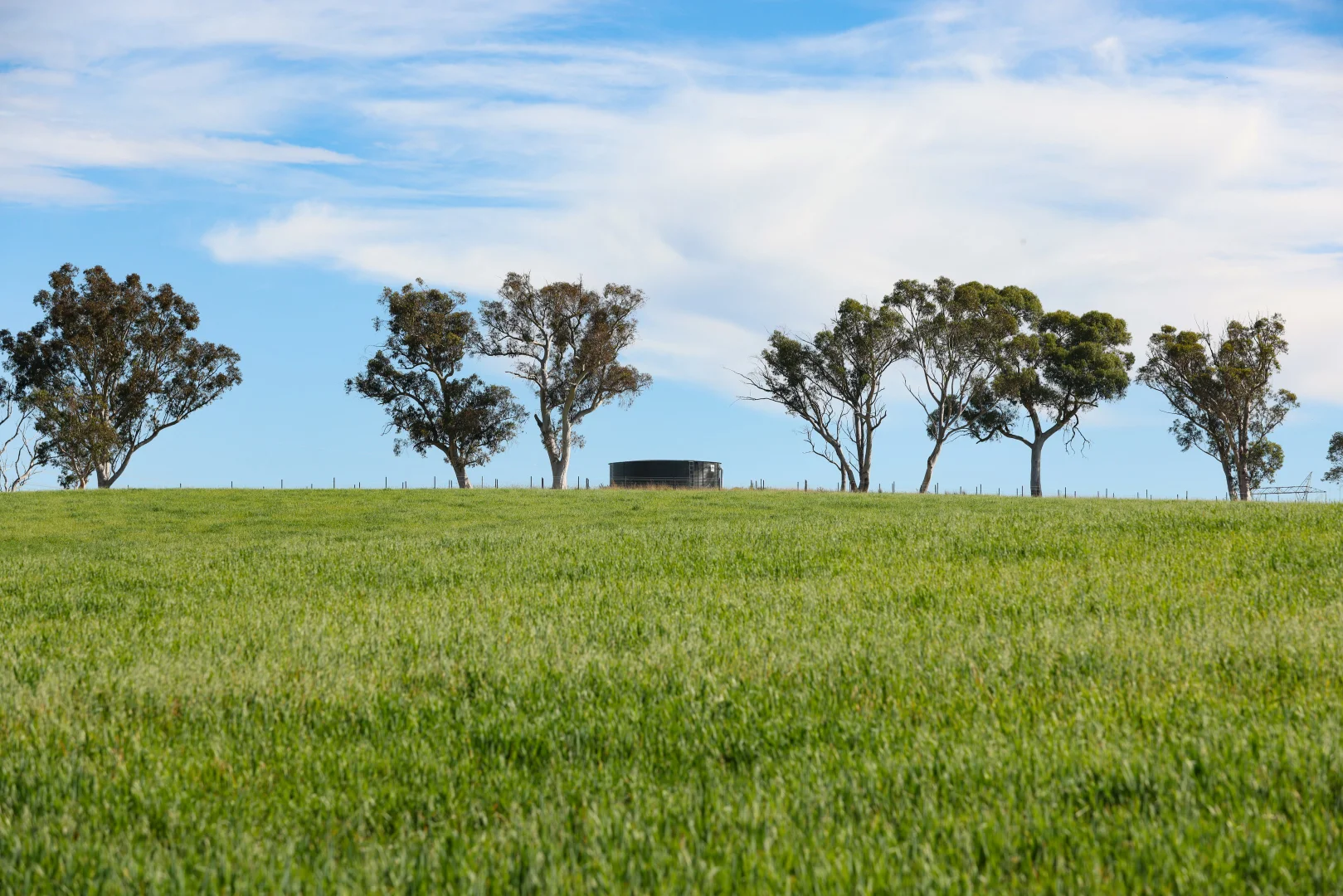 Additional image 2 of 710 Inverary Road, Paddys River NSW 2577