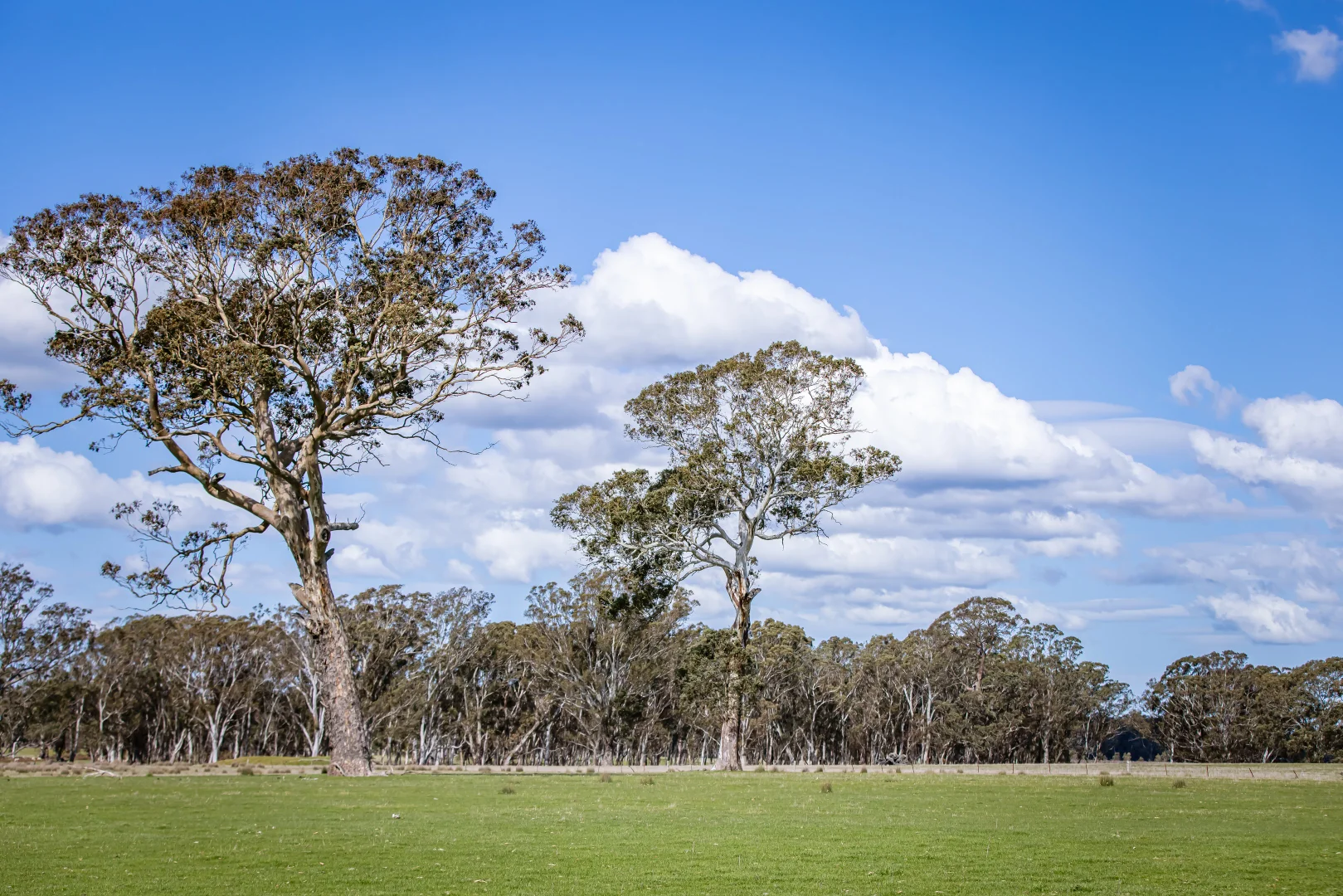 Additional image 13 of 219 Ockley Rd, Comaum SA 5277