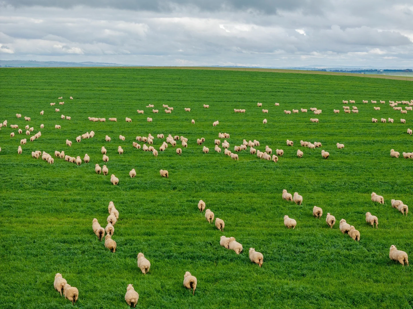 Additional image 15 of 79 Goldfields Way Old Junee Via, Wagga Wagga NSW 2650