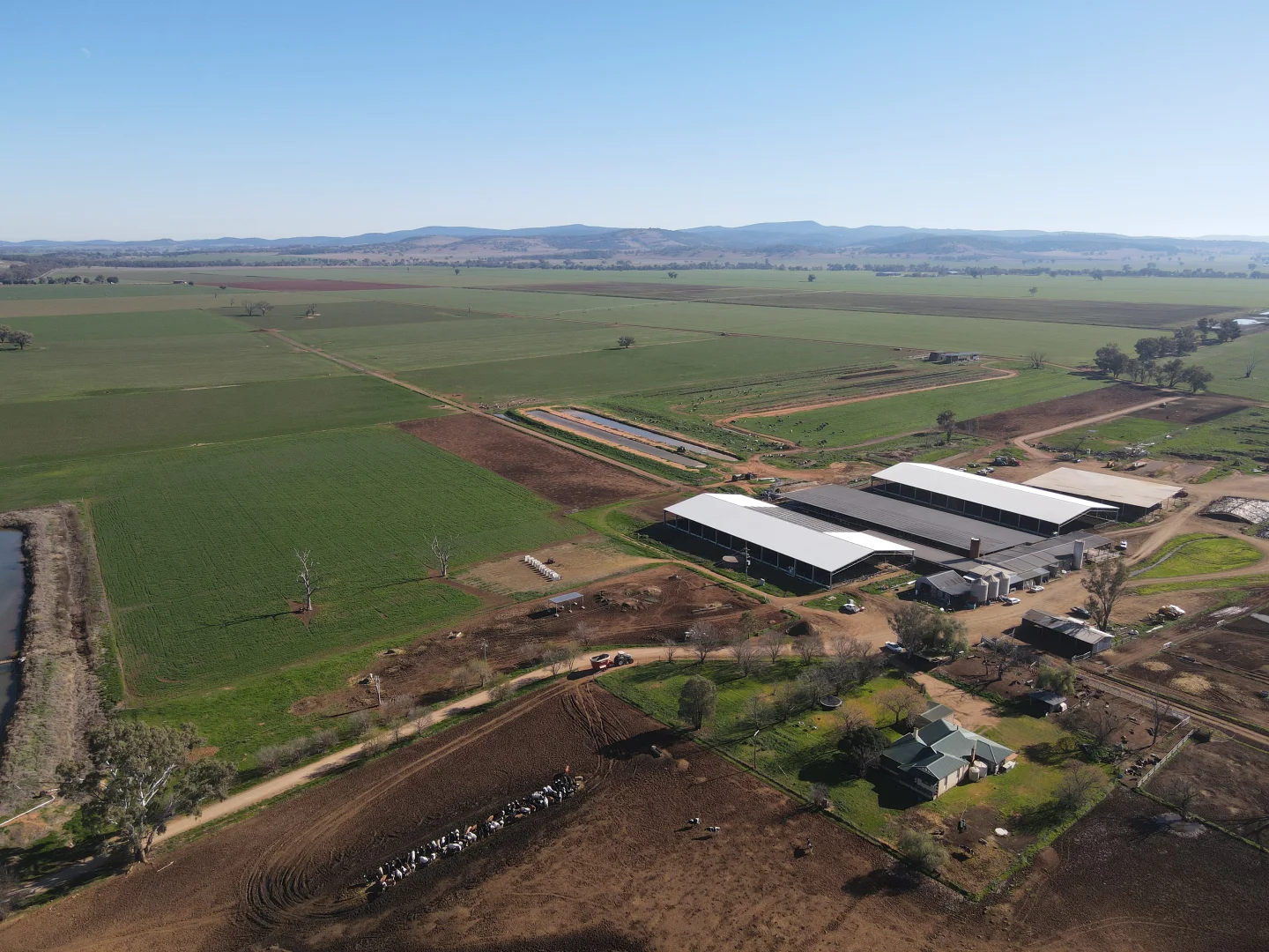 Additional image 3 of 448 Nangar Road, Canowindra NSW 2804