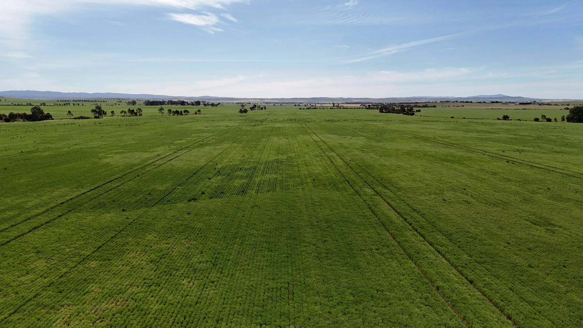 Additional image 13 of 'Pinefield' 186 Catford Rd, Appila SA 5480