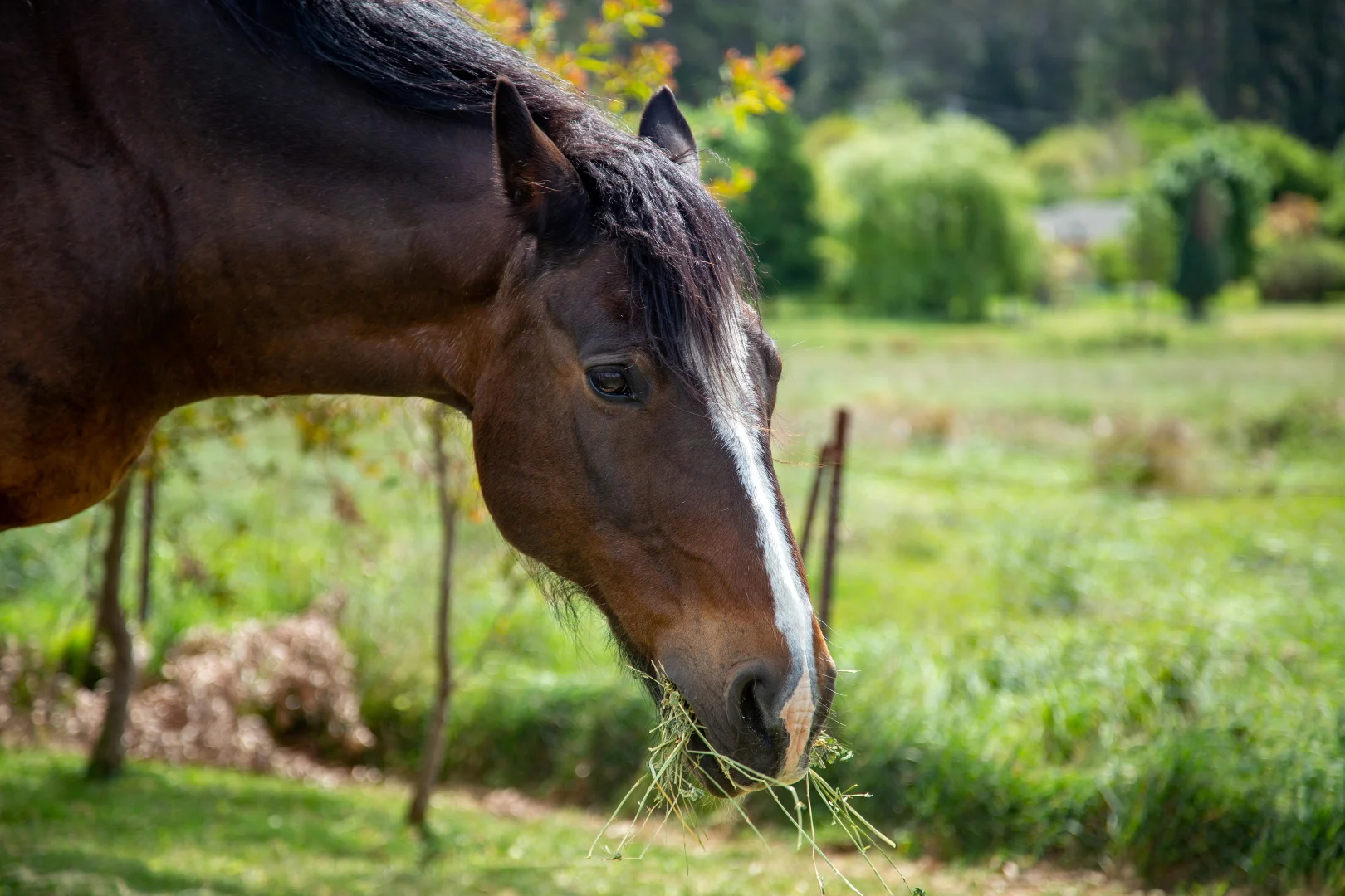 Additional image 17 of 176 - 178 Old South Road, Bowral NSW 2576
