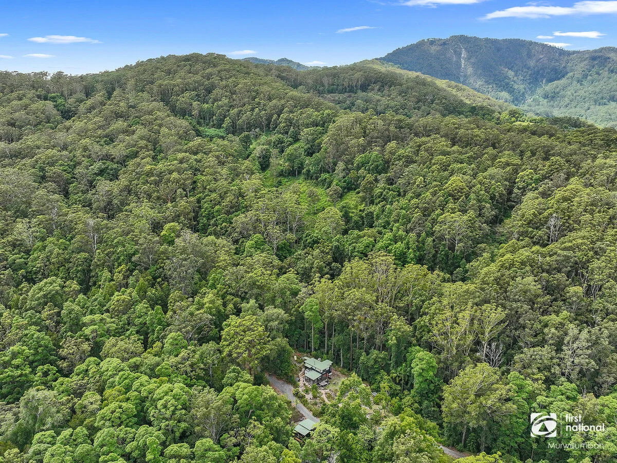 563 Commissioners Creek Road, Commissioners Creek NSW 2484