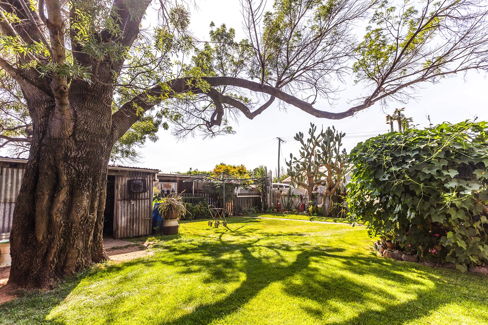 Additional image 9 of 11 Temora Street, Cootamundra NSW 2590