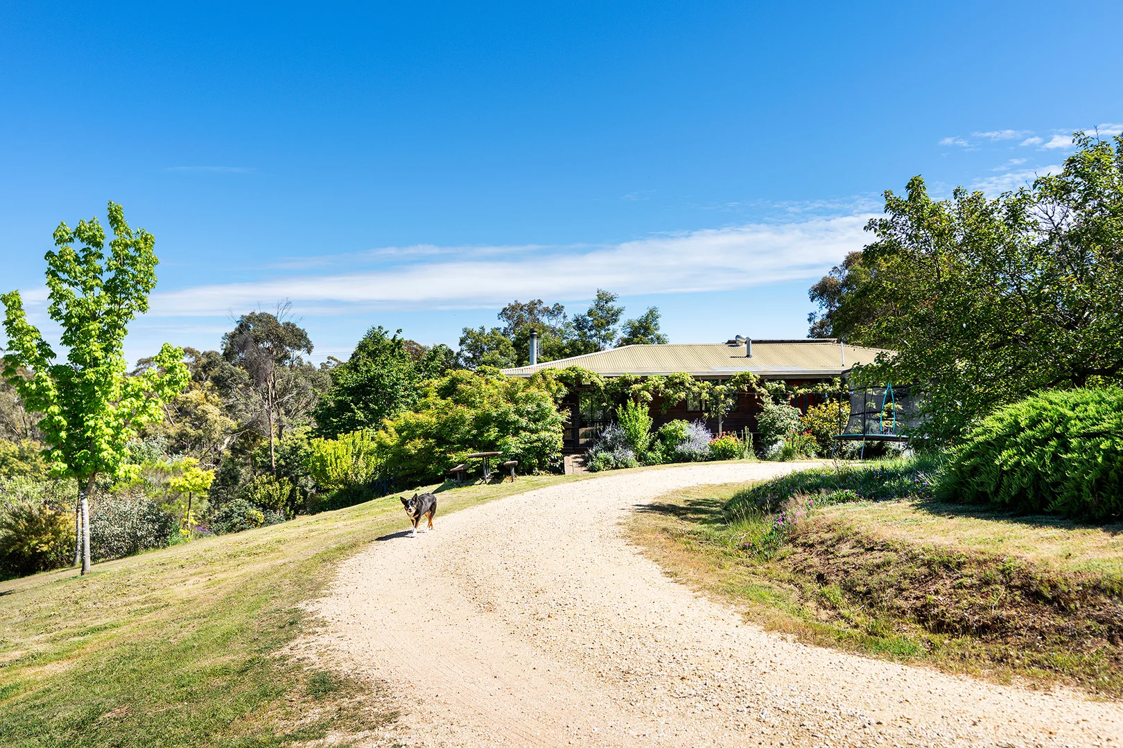 Additional image 16 of 136 Cemetery Road, Elphinstone VIC 3448