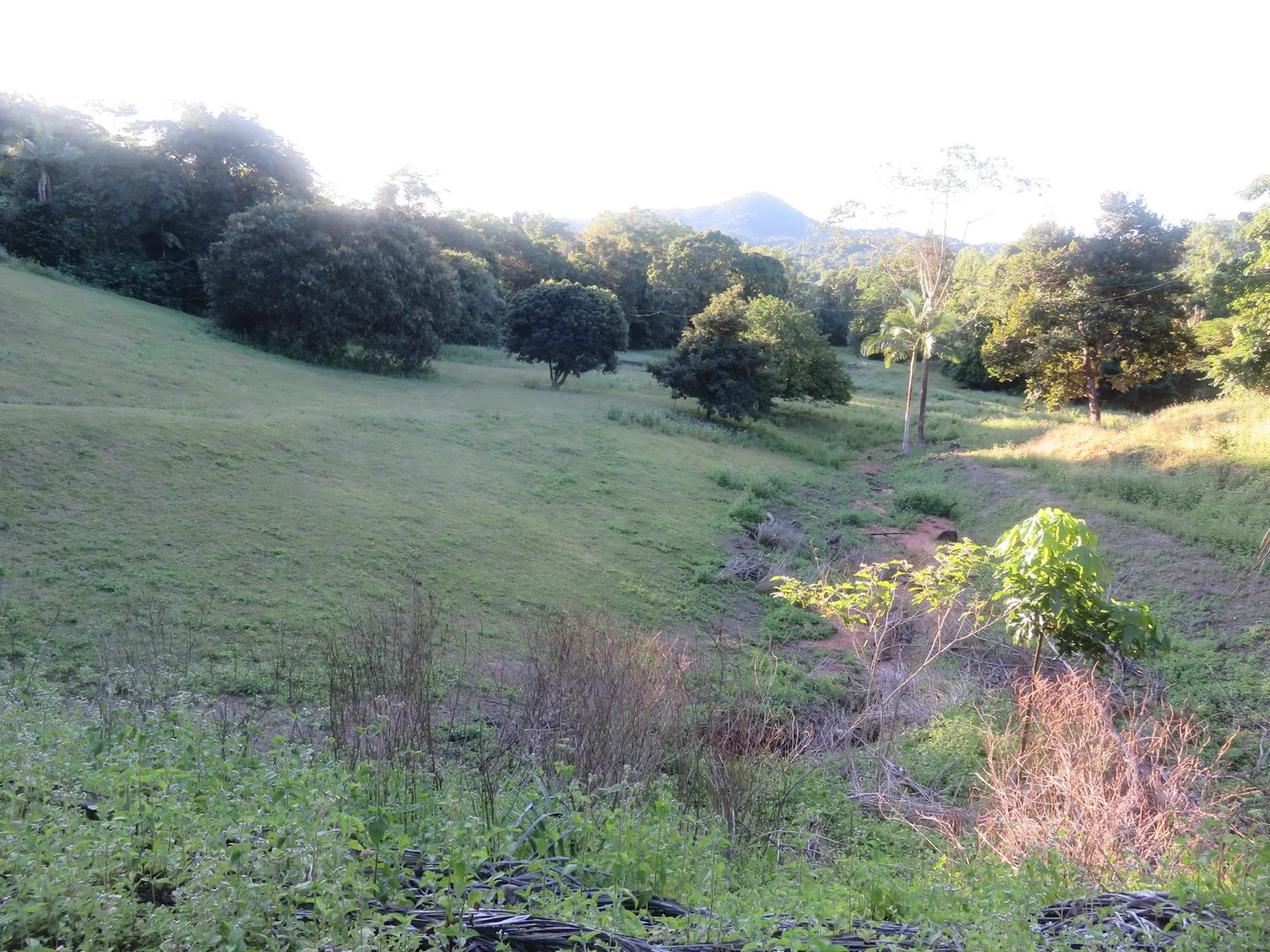 Additional image 10 of 364 Coquette Point Road, Coquette Point QLD 4860