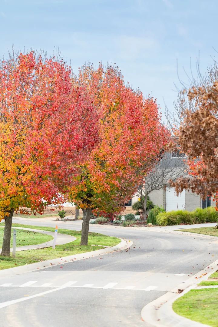 Additional image 6 of 8 Goldanah Avenue, Nagambie VIC 3608