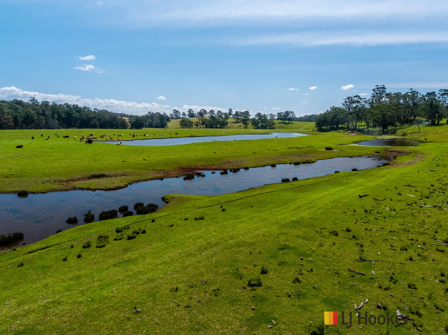 Additional image 15 of 1109 Princes Highway, Mogo NSW 2536