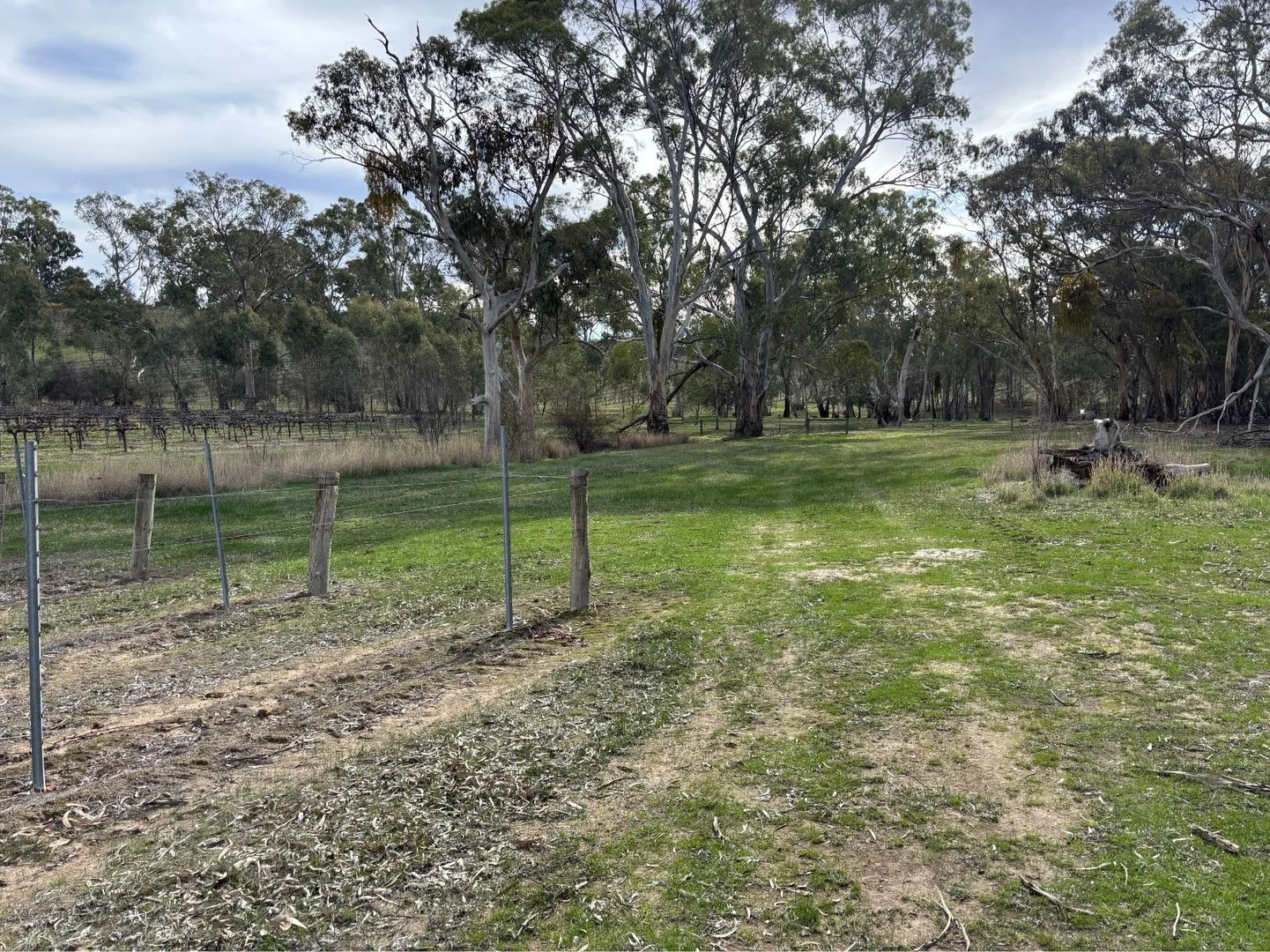 Additional image 2 of 102 Sawmill Road, Sevenhill SA 5453