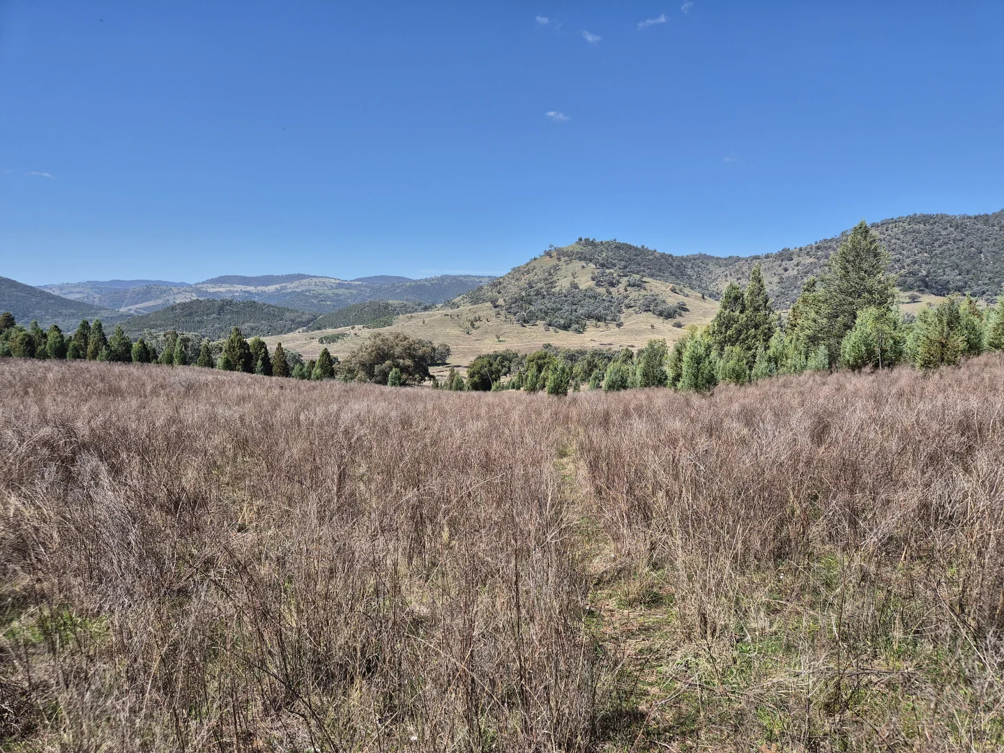 Additional image 8 of 46 Worlds End Rd, Yarrabin NSW 2850