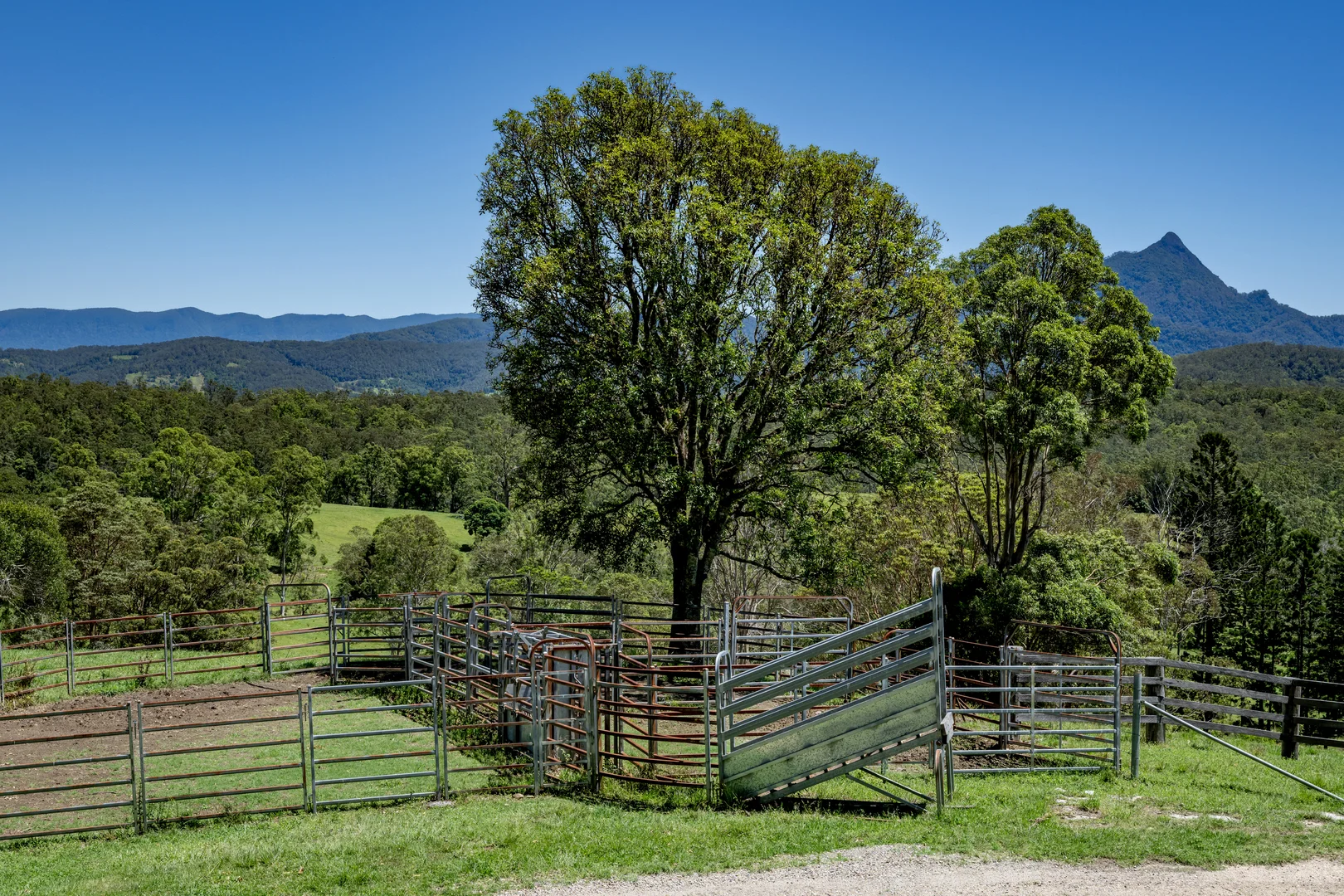 Additional image 18 of 148 Pine Log Road, Doon Doon NSW 2484
