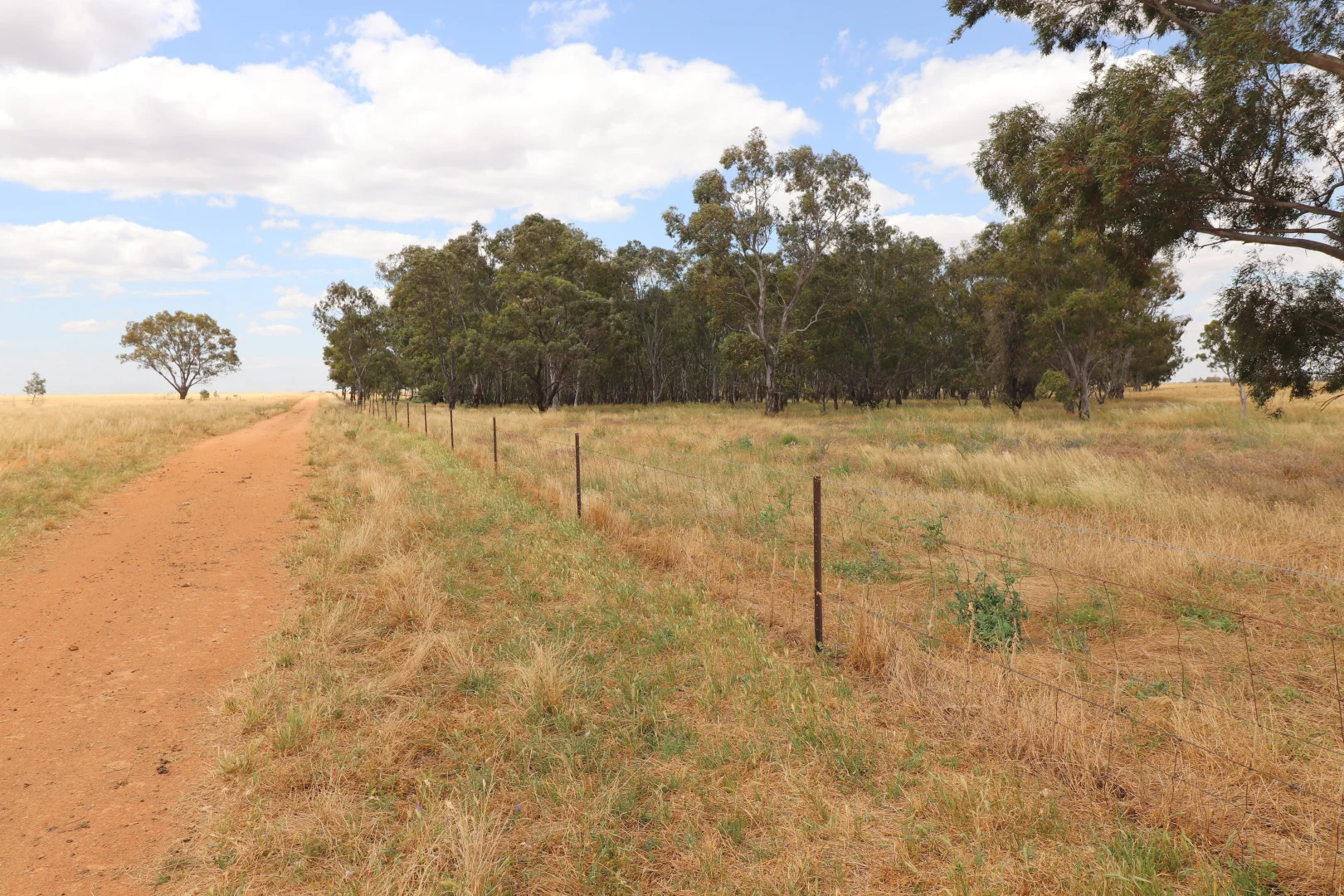 Additional image 5 of 'East Gathan' 509 Gathan Road, Deniliquin NSW 2710