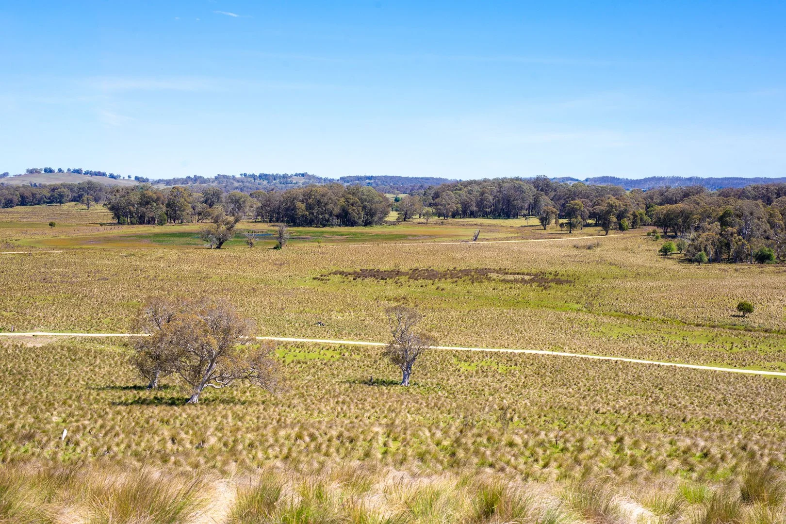Additional image 10 of Thornleigh Coolangubra Road, Cathcart NSW 2632