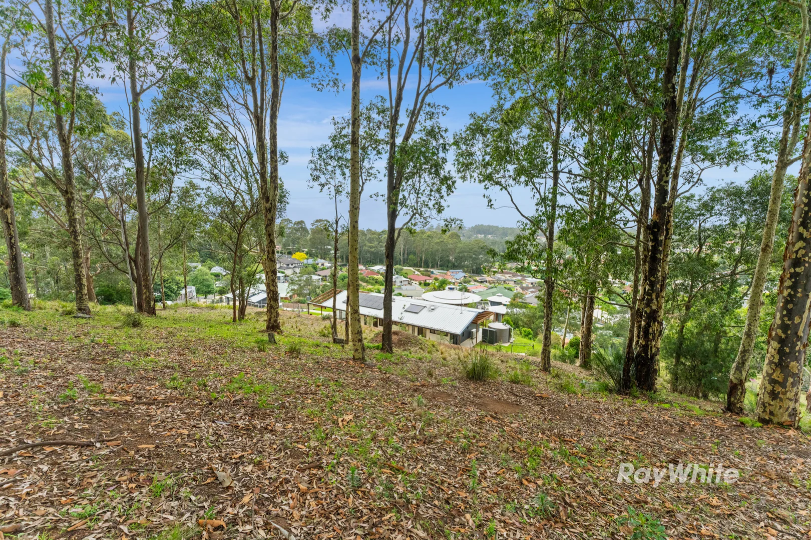 Additional image 13 of 33 Berrima Street, Catalina NSW 2536