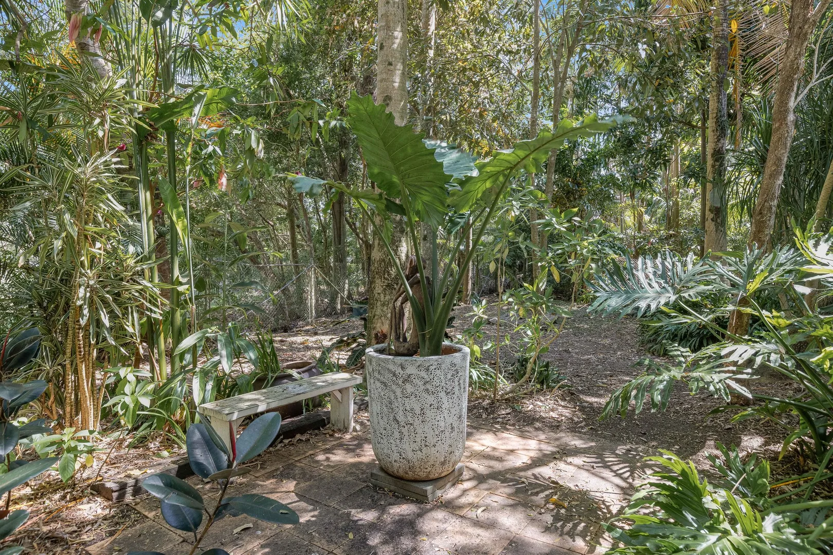 Additional image 27 of 119 Commercial Road, Murwillumbah NSW 2484