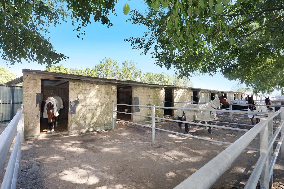 Additional image 30 of 1717 Stapylton Jacobs Well Road, Jacobs Well QLD 4208