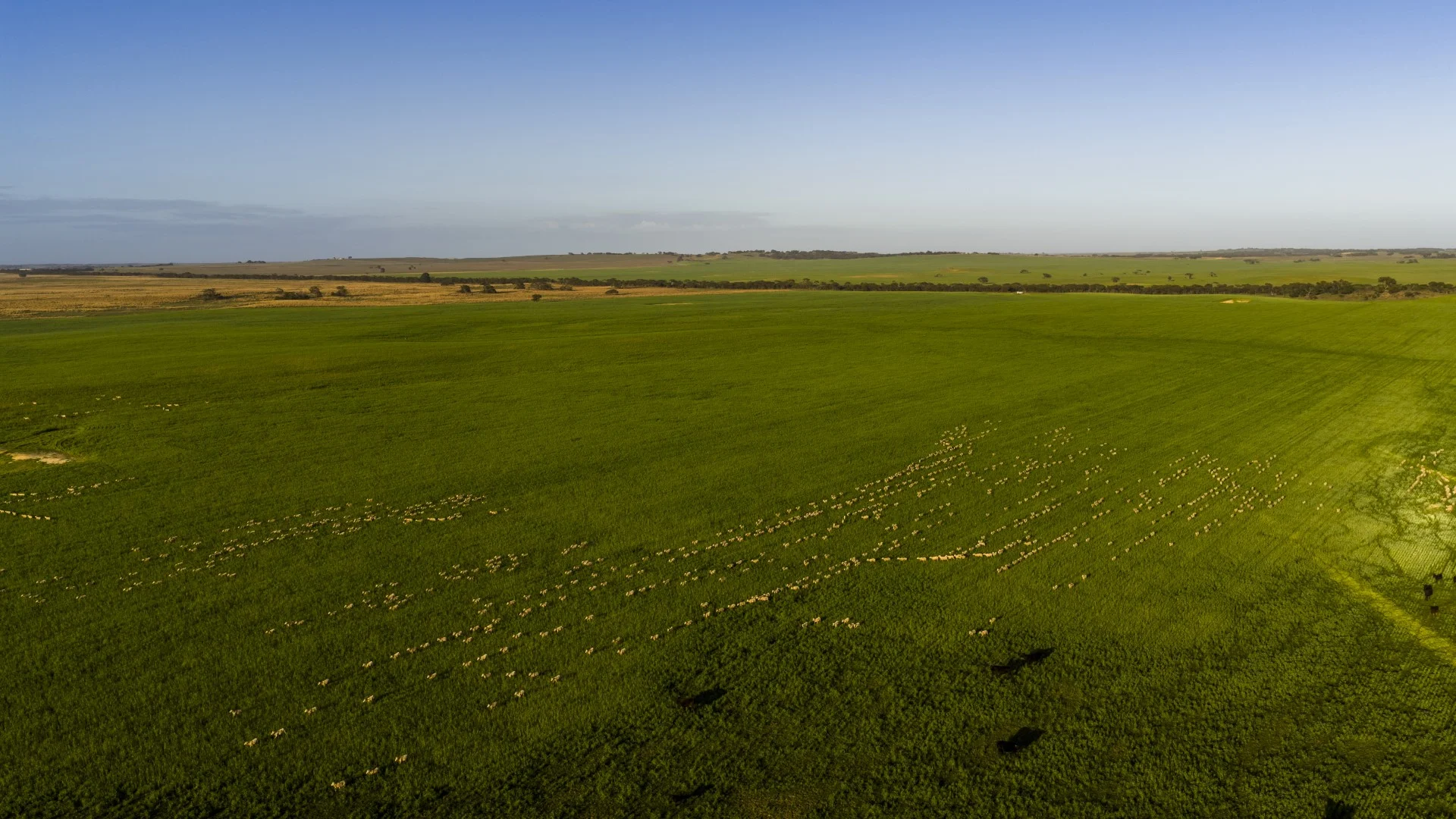 Additional image 6 of 1579 Chappel Road, Telopea Downs VIC 3420