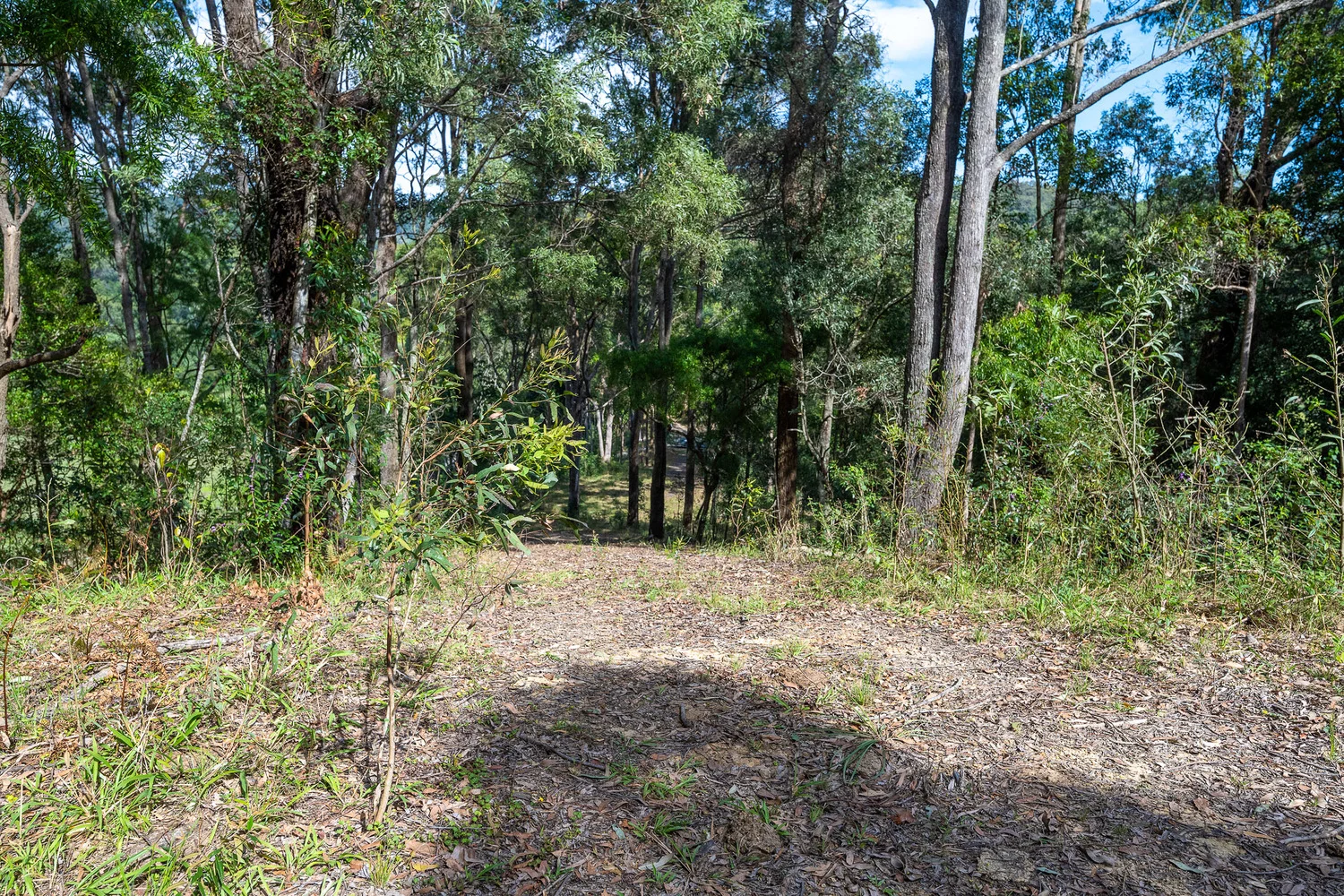 Additional image 16 of 38 Wooyung Road, Wooyung NSW 2483