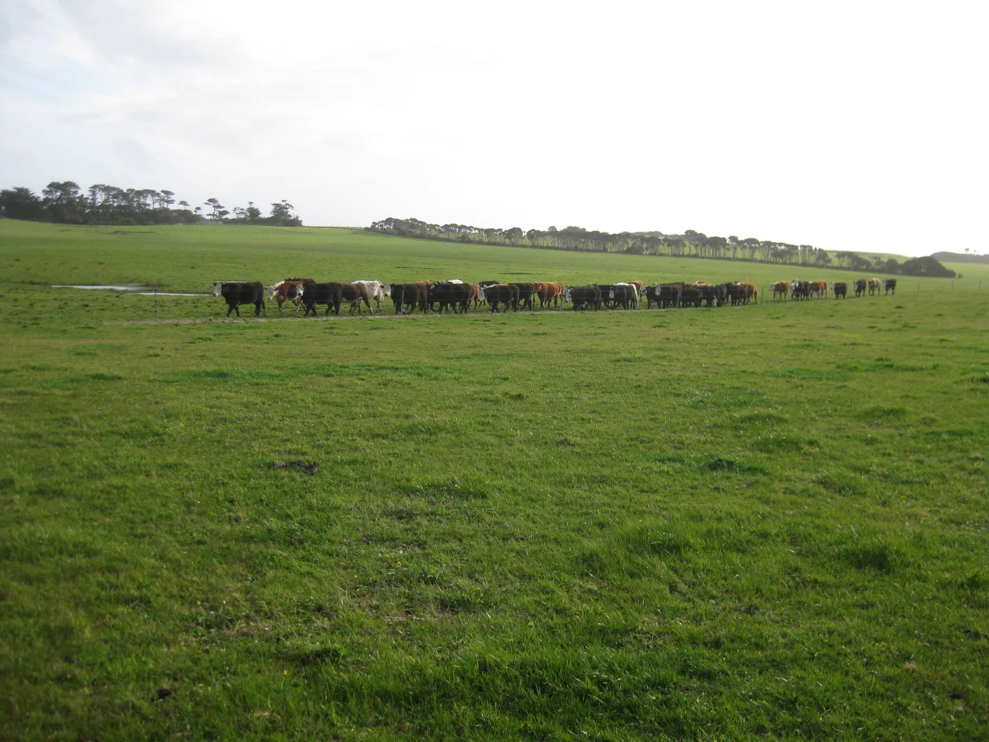 Additional image 8 of Lot 2, 357 Don Kendell Drive, Loorana TAS 7256