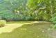 Additional image 27 of Mount Lane, Hartlip, Sittingbourne, Kent
