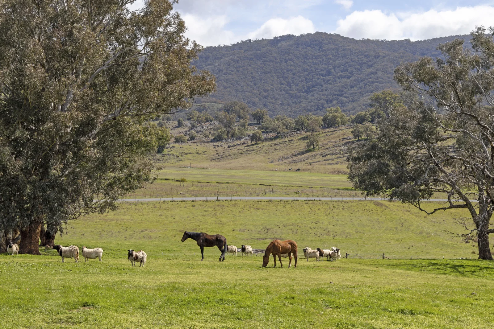 Additional image 12 of 388 Caves Road, Wee Jasper NSW 2582