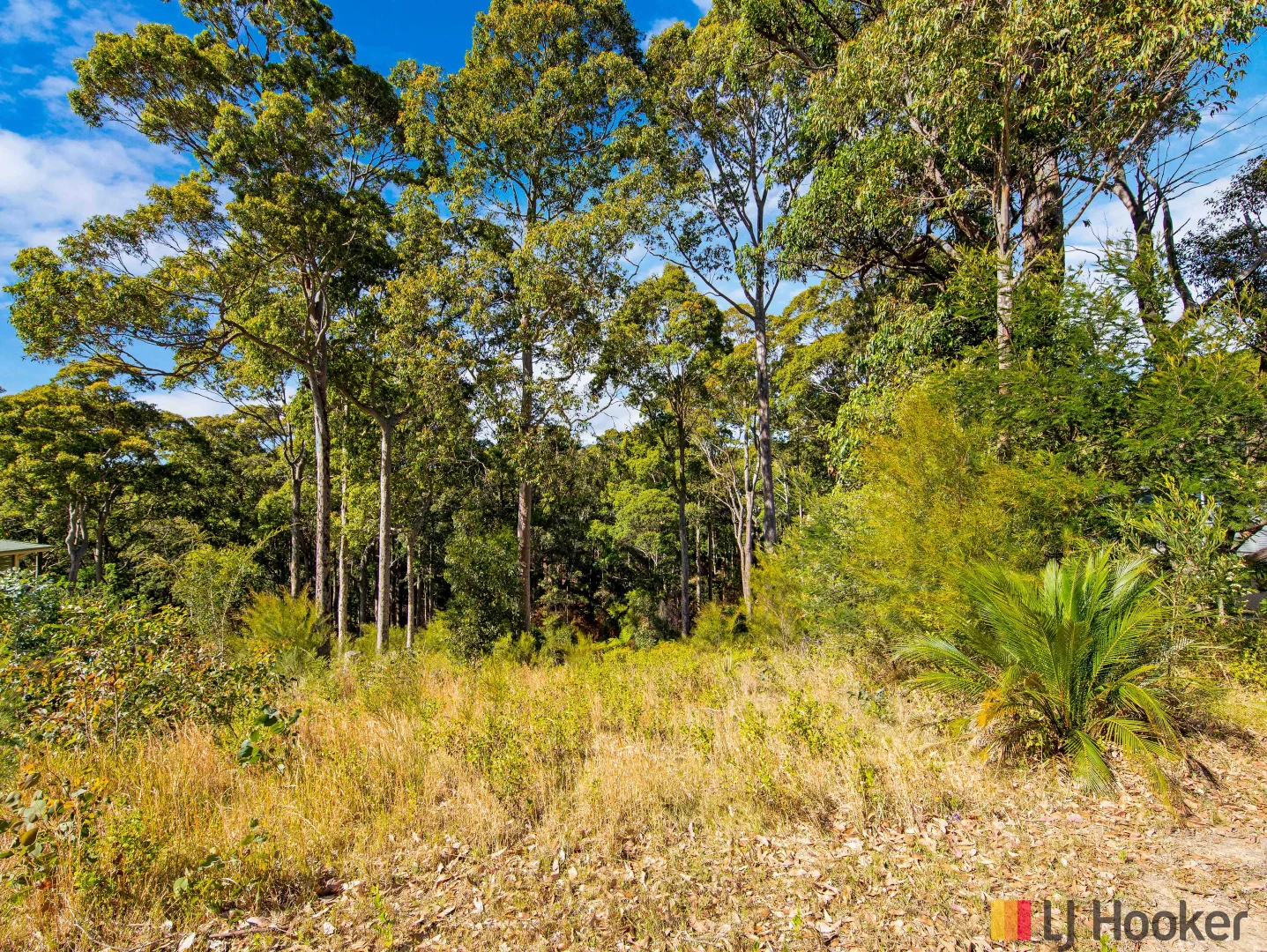 Additional image 8 of 26 Lewana Close, Lilli Pilli NSW 2536