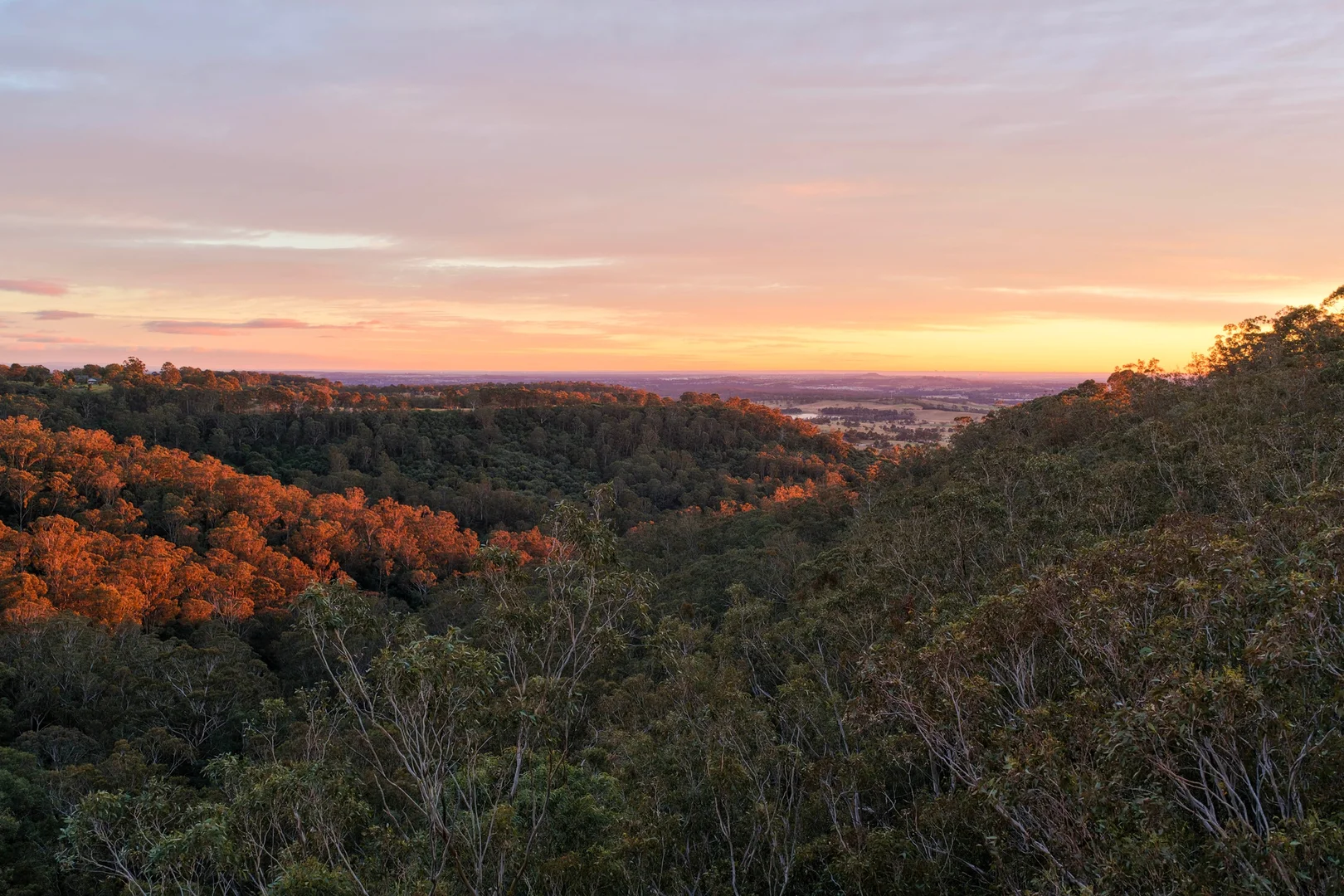 Additional image 11 of 159 Donalds Range Road, Razorback NSW 2571