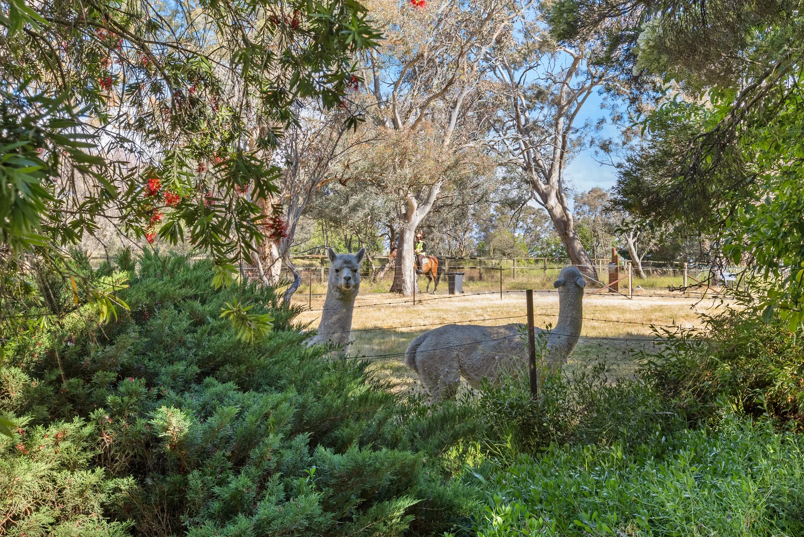 Additional image 19 of 3 Scrubby Lane, Murrumbateman NSW 2582