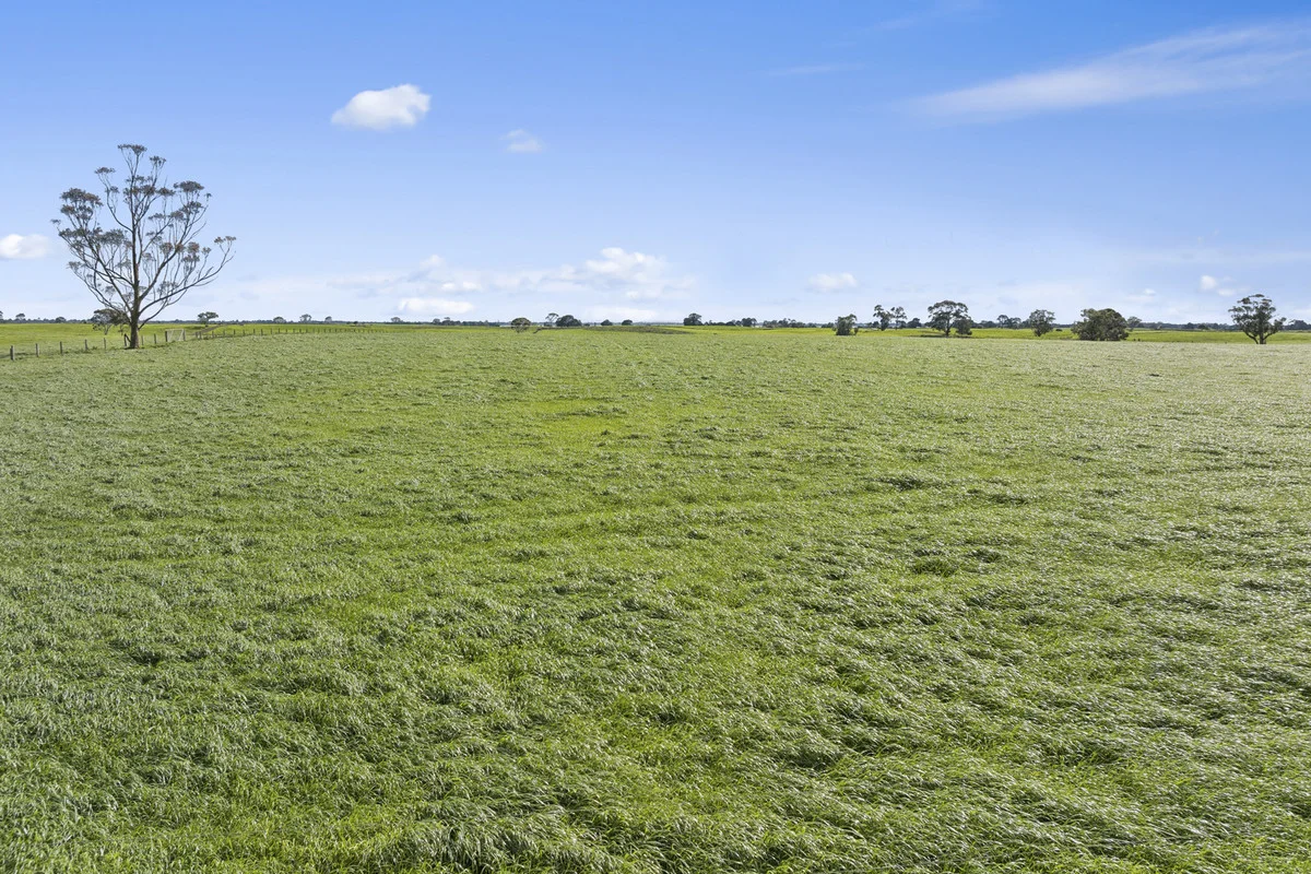 Additional image 35 of 280 Ondit-Warrion Road, Ondit VIC 3249