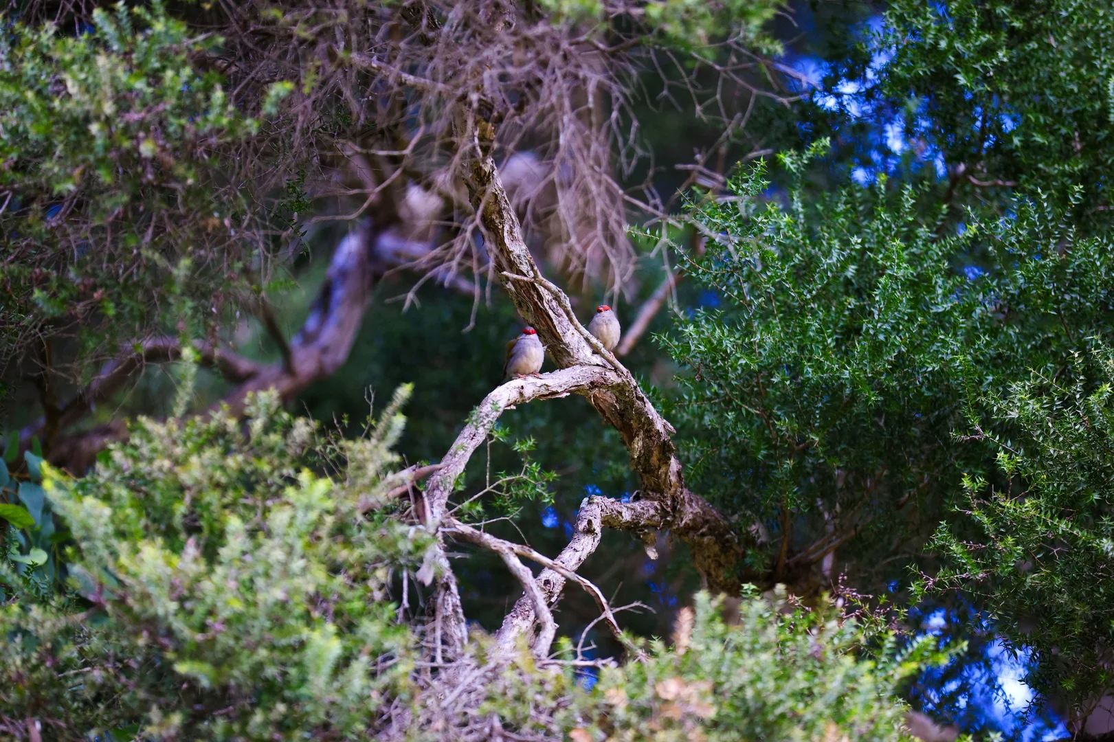 Additional image 43 of 159 Donalds Range Road, Razorback NSW 2571