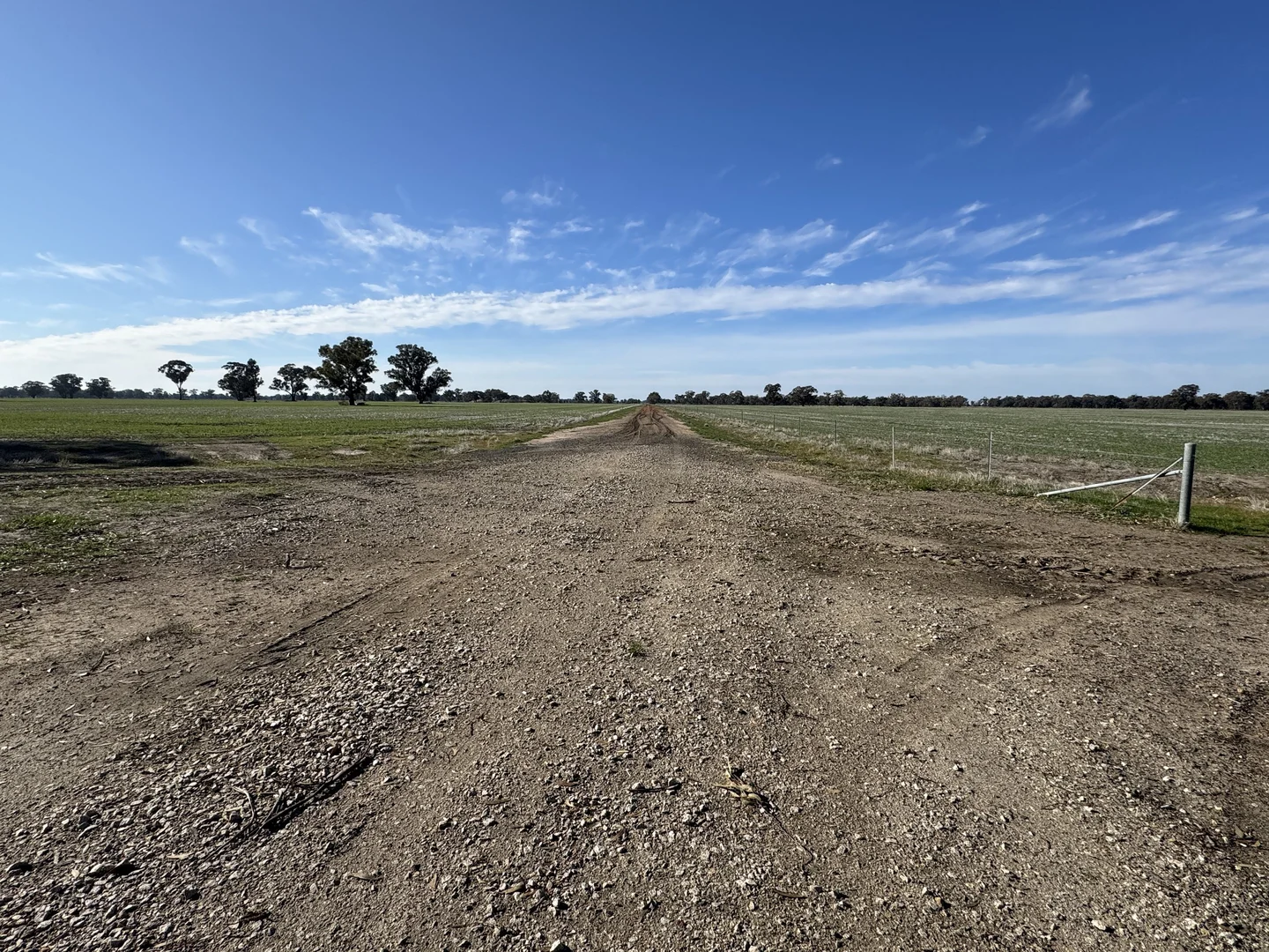 Additional image 17 of Berrigan Oaklands Road, Berrigan NSW 2712