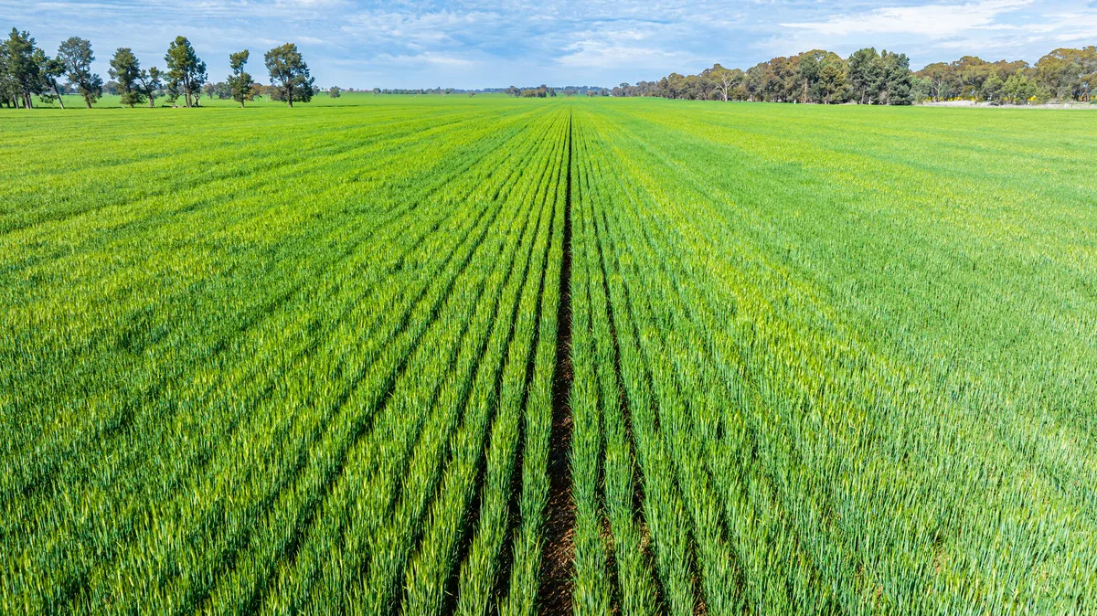 Additional image 10 of Olympic Highway, Yerong Creek NSW 2642