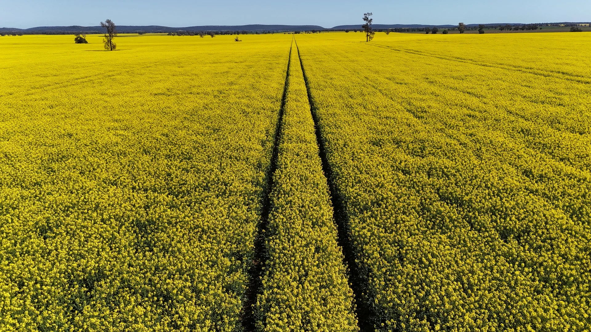 2459 The Bogan Way, Parkes NSW 2870