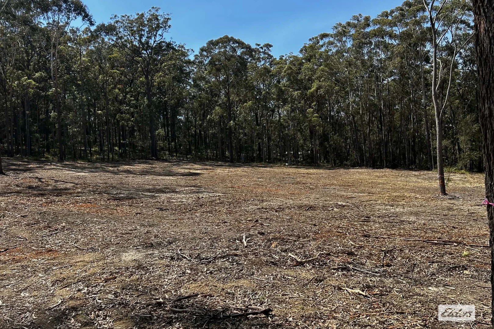 Additional image 4 of 83 Bournda Park Way, Wallagoot NSW 2550