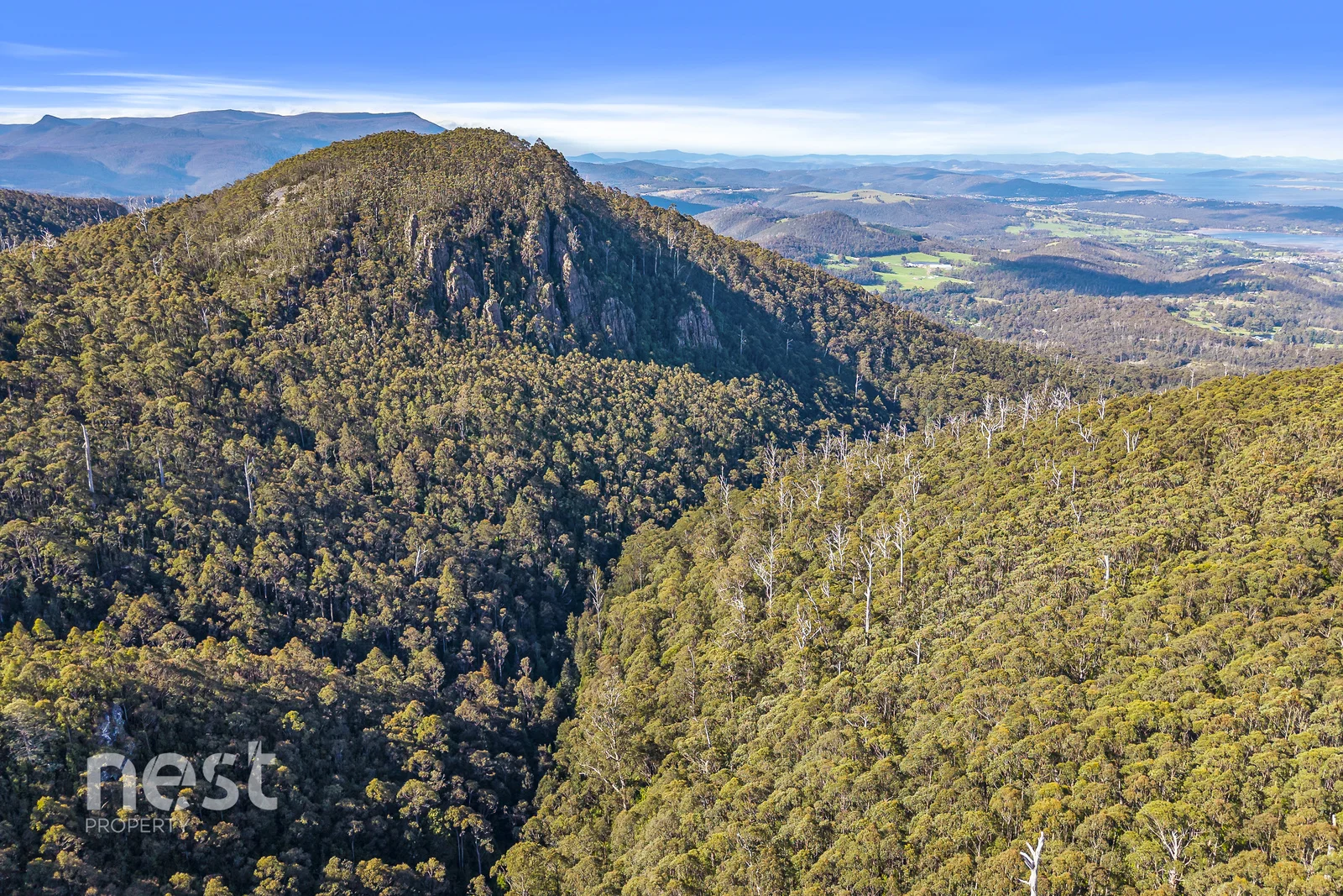 Additional image 23 of 1000 Van Morey Road, Margate TAS 7054