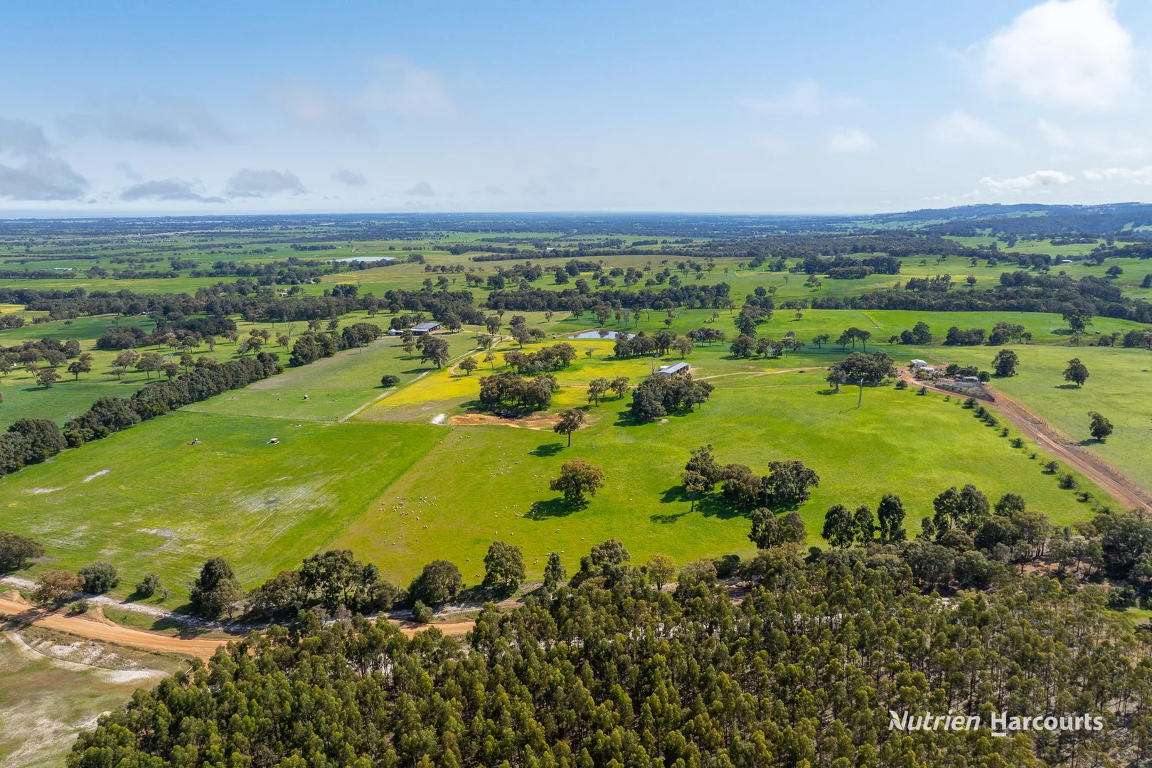 Additional image 6 of 279 Giumelli Road, Henty WA 6236