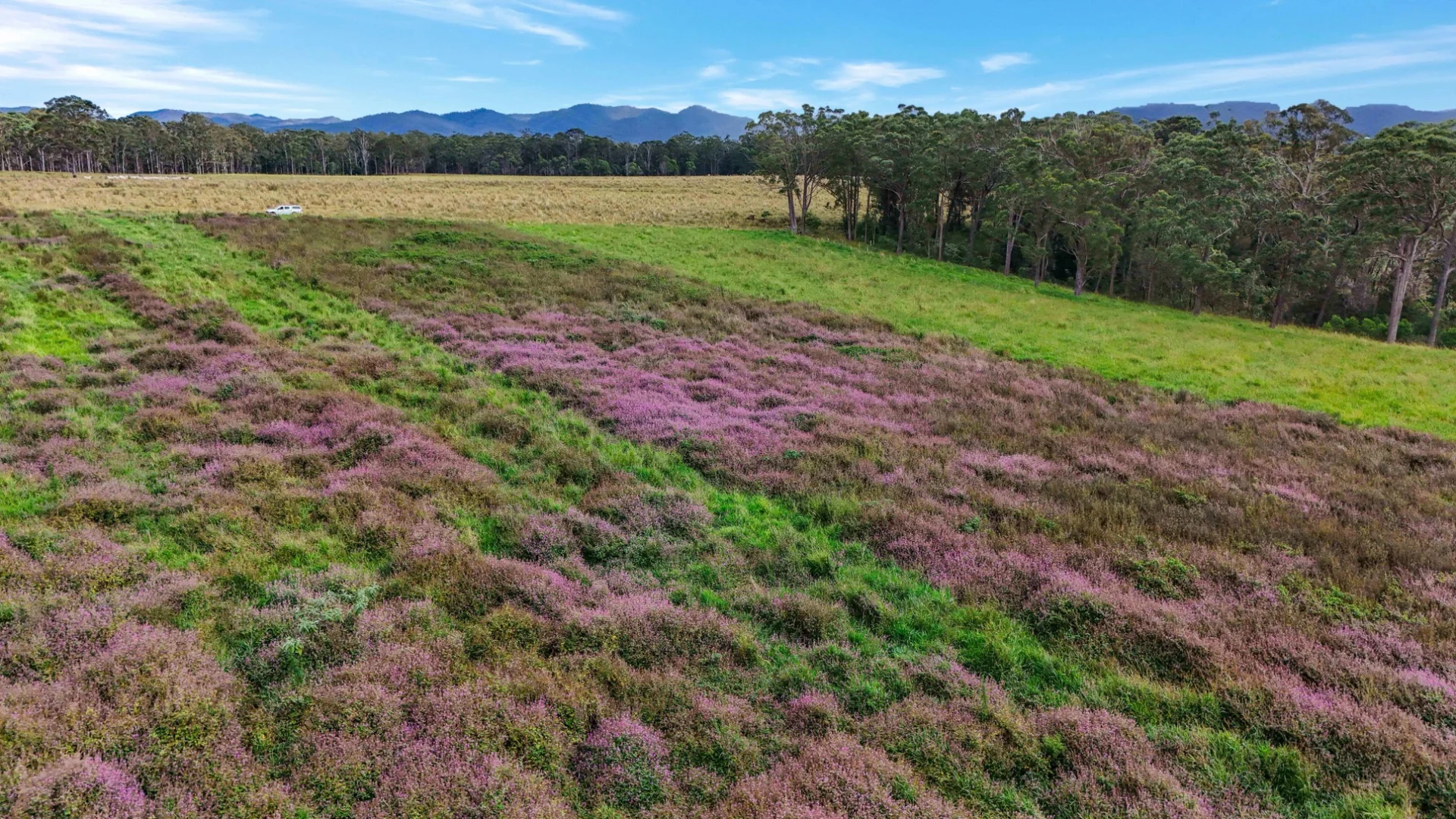 Additional image 58 of Lot 83 Chester Road, Wondecla QLD 4887