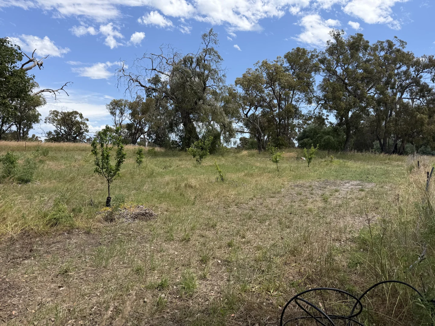 Additional image 8 of Lot 9003 Barrington Knight Road, Yarloop WA 6218